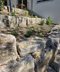 Neugestaltung Garten