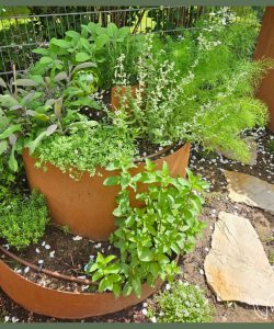 Cortenstahl als gestalterisches Highlight im Garten