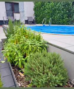 Rückblick auf ein Gartenprojekt aus dem Vorjahr!