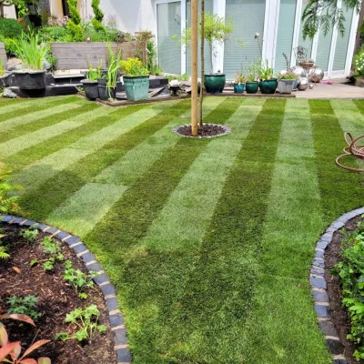 Maul Gartenbau - Rollrasen