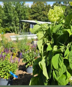 Ein Projekt, das zeigt, wie stark Teamarbeit wirkt