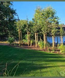 Ein Projekt, das zeigt, wie stark Teamarbeit wirkt